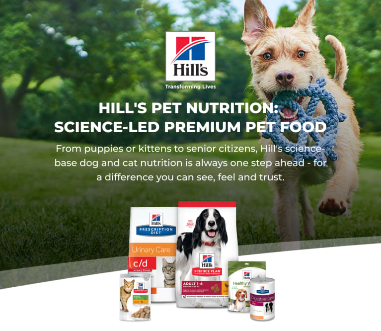 Hills brand cat on sale food